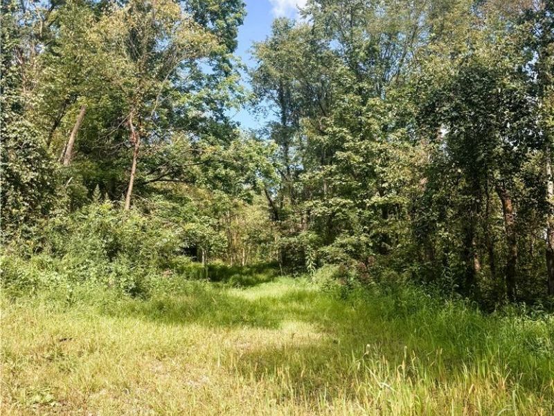 62515 Wine Road, Quaker City, OH 43773 Photo 7