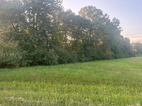 3106 Mule Dr, Franklin Twp, OH 45171