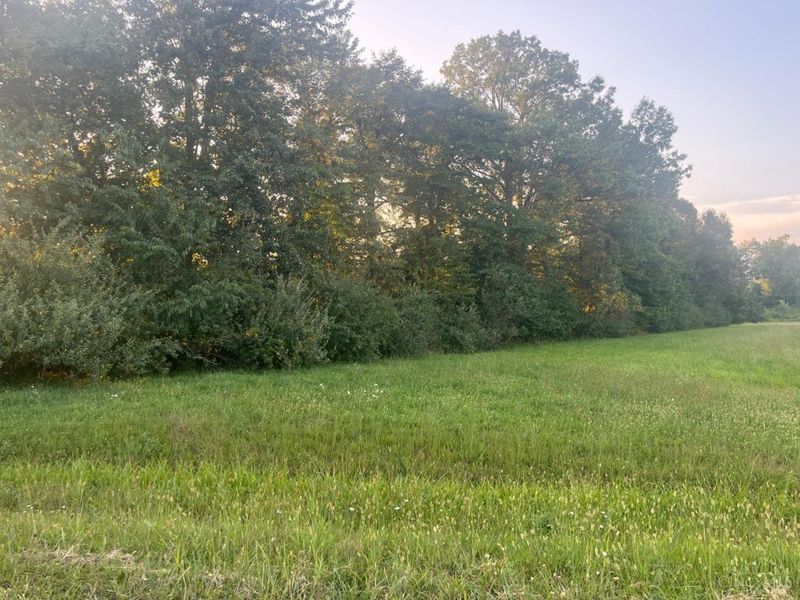 3106 Mule Dr, Franklin Township, OH 45171 Photo 1