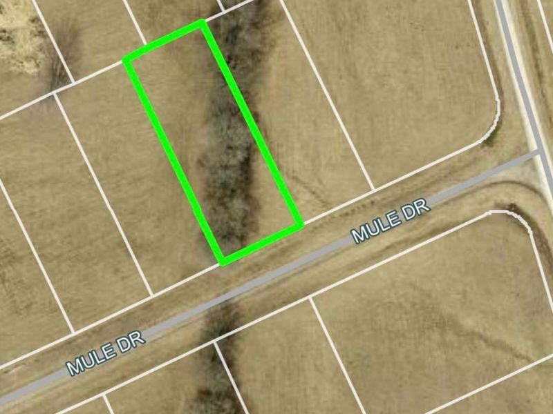 3106 Mule Dr, Franklin Township, OH 45171 Photo 3