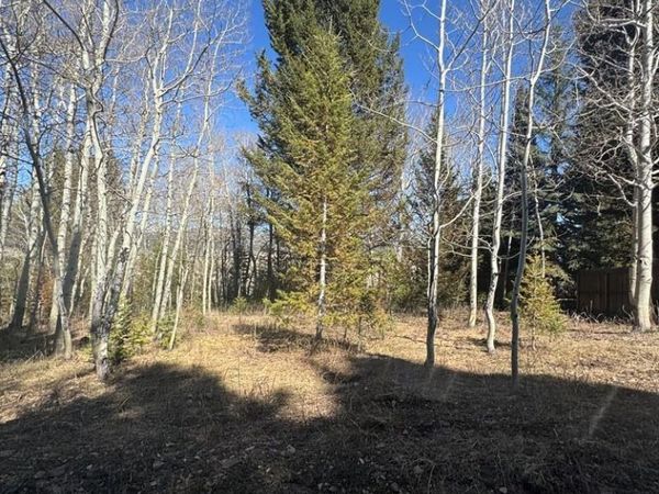 4788 Balsam Street, ISLAND PARK, ID 83429