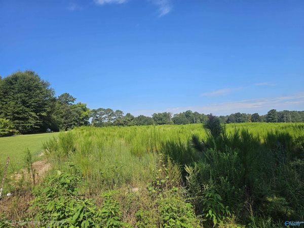 23 Bridge Road, Arab, AL 35016