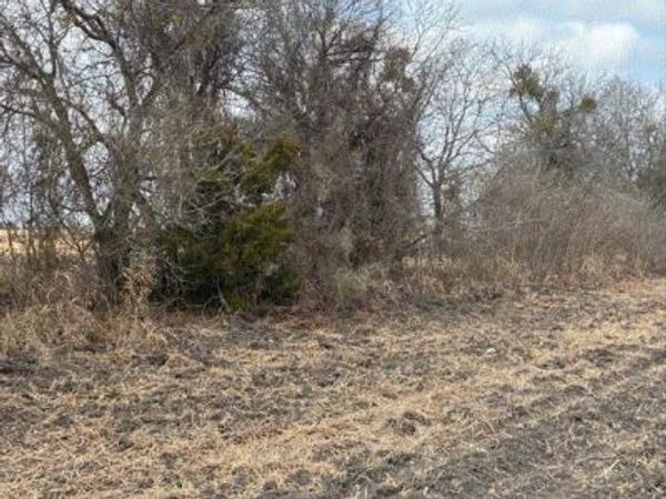 CR 3061 lot 2 Highway, Thorndale, TX 76577
