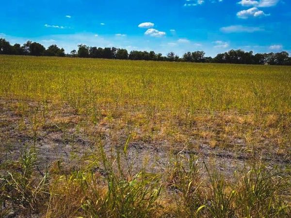 CR 3061 lot 1 Highway, Thorndale, TX 76577