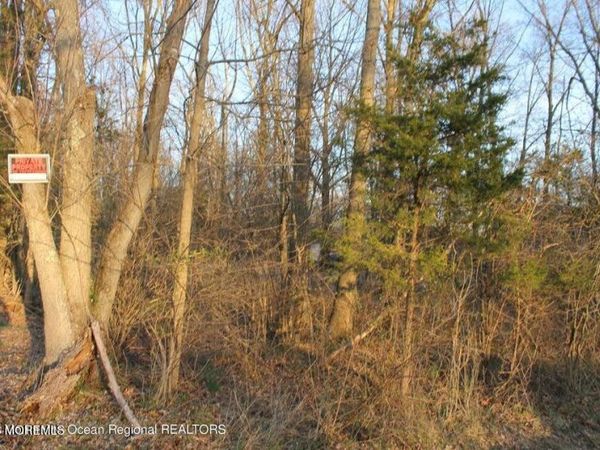 217 Brookville Road, Lacey, NJ 08734