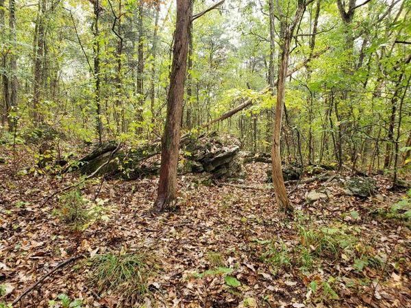 Alabama Hwy 101, Town Creek, AL 35672