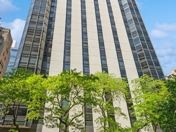 1310 N Ritchie Court , Unit 6D, Chicago, IL 60610