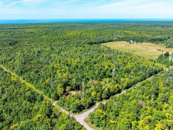 42025 Heikkinen School Road, Stanton Twp, MI 49965