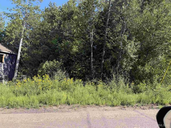 308 Sibley Street, Houghton, MI 49931