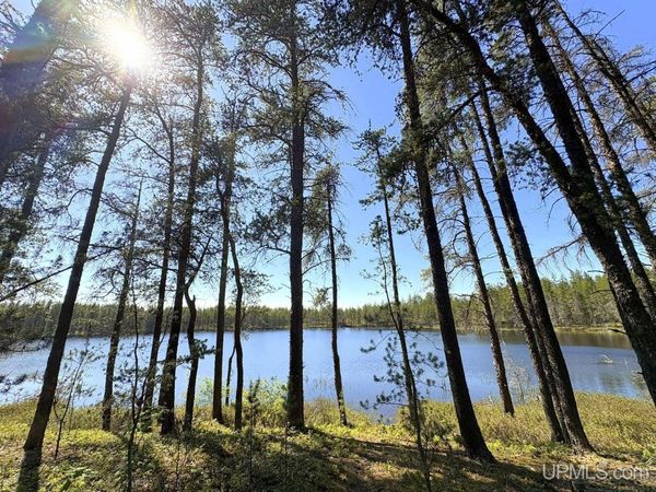 TBD County Road EB Road, Forsyth Twp, MI 49841