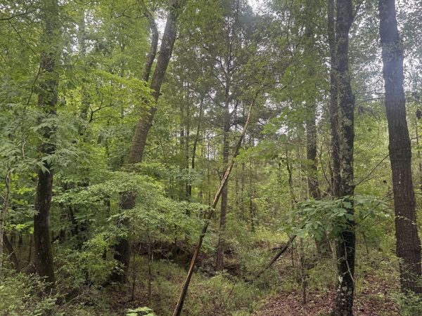0001 Sandy Cross Road, Crawfordville, GA 30631