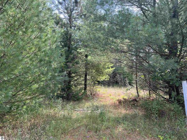 Cedar Lake Road, Greenbush, MI 48738
