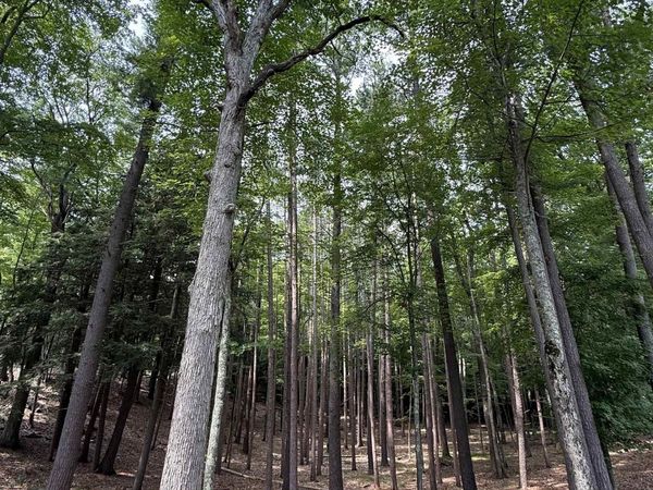 4731 Albert Courtade Road, Traverse City, MI 49696