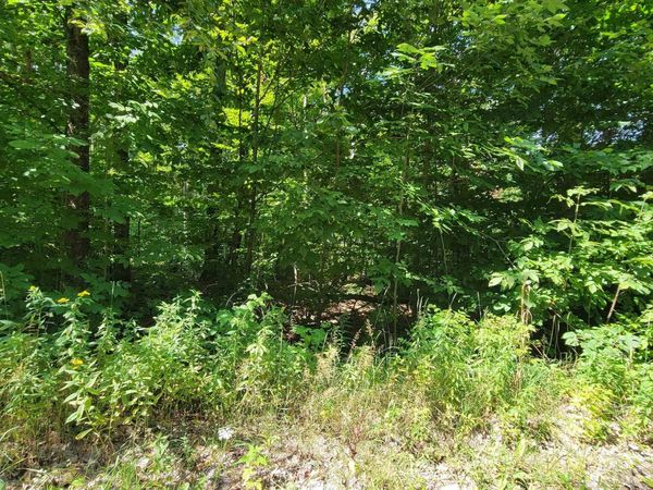 Beechnut Lane, Wolverine, MI 49799