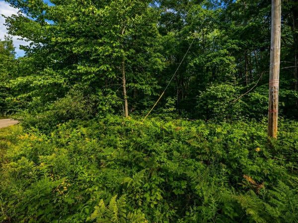 Timberline Drive, Elmira, MI 49615