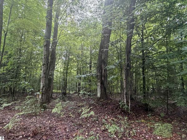 Demerly Road, Benzonia, MI 49616