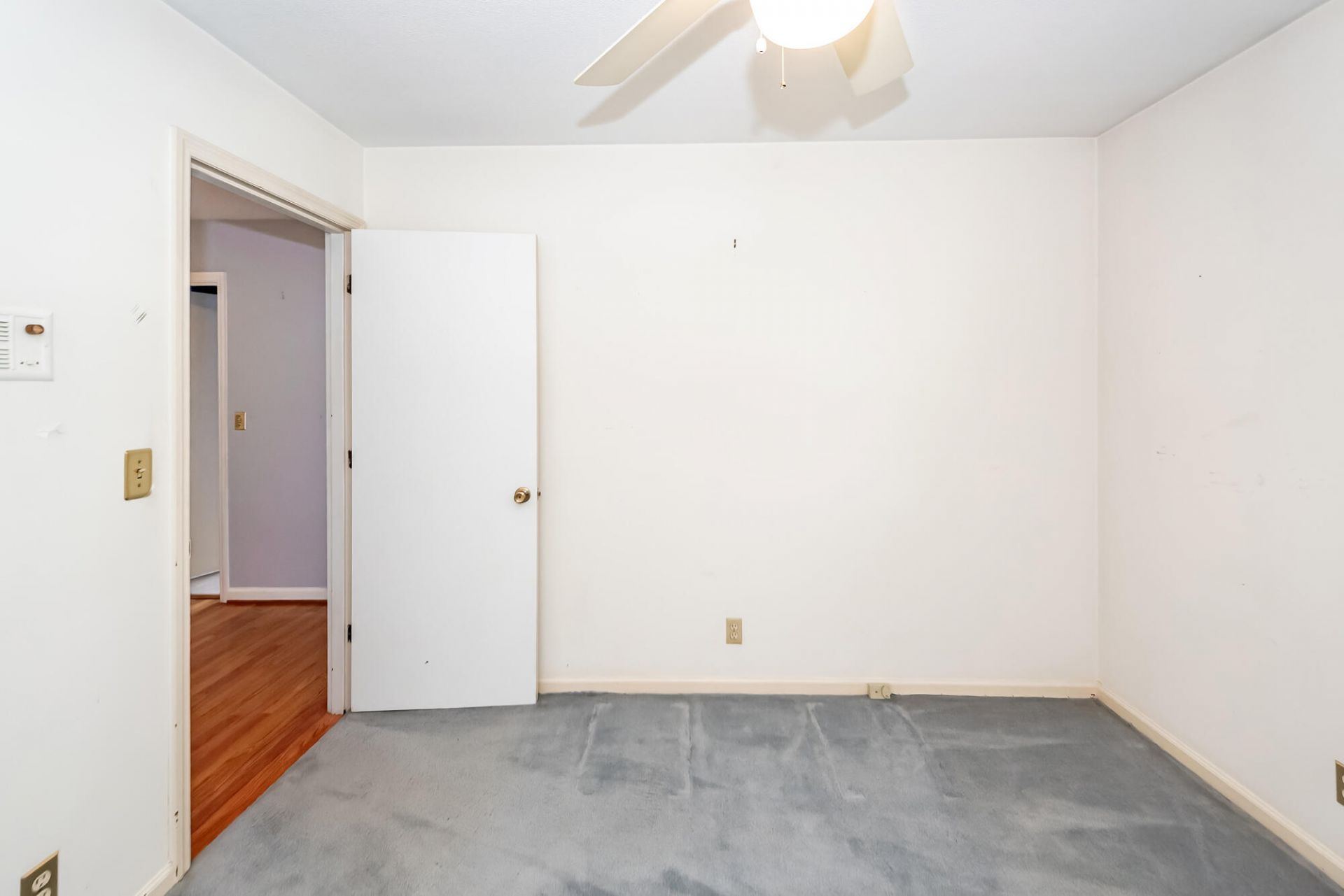 64 Shrewsbury Road Photo 38