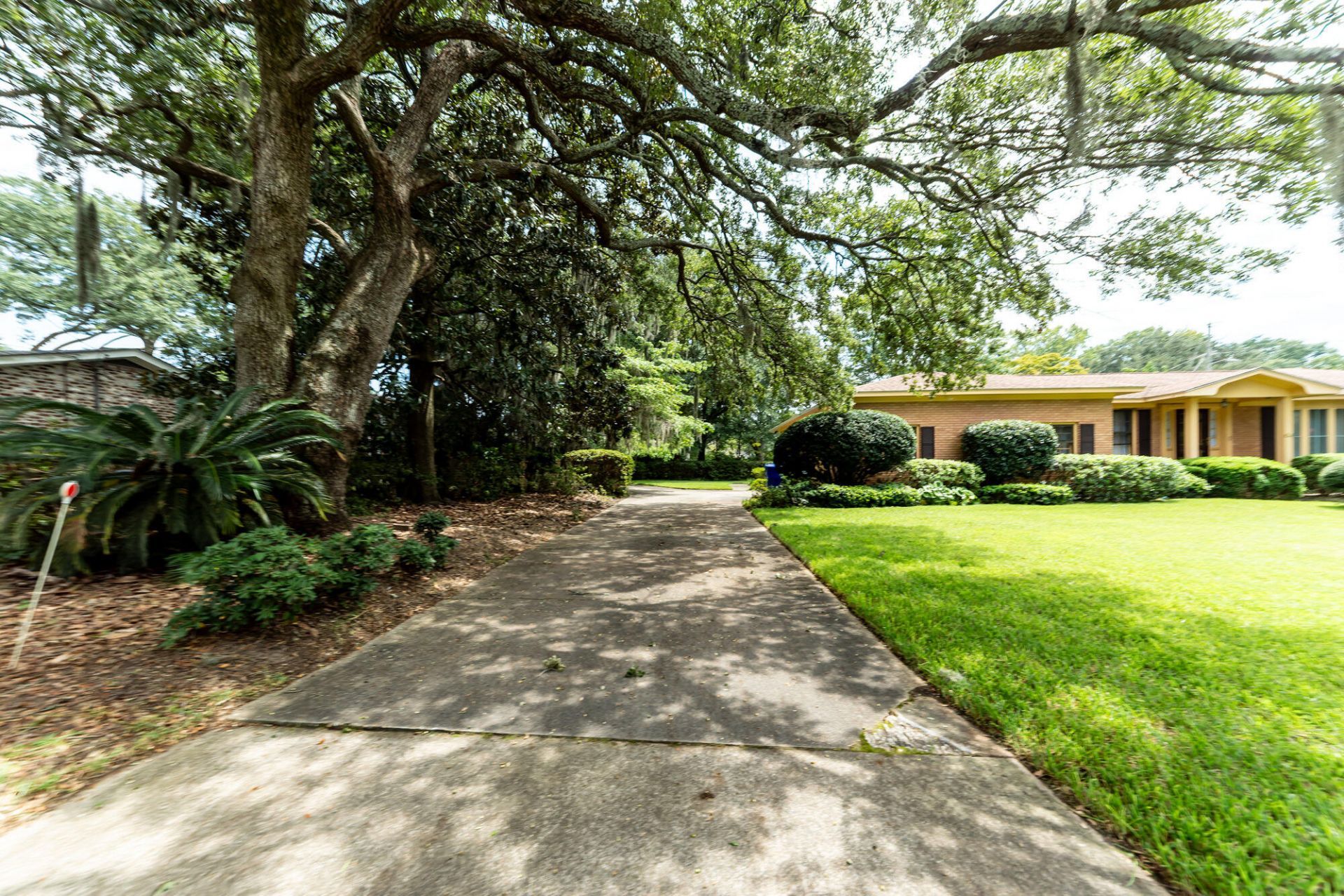 64 Shrewsbury Road Photo 53