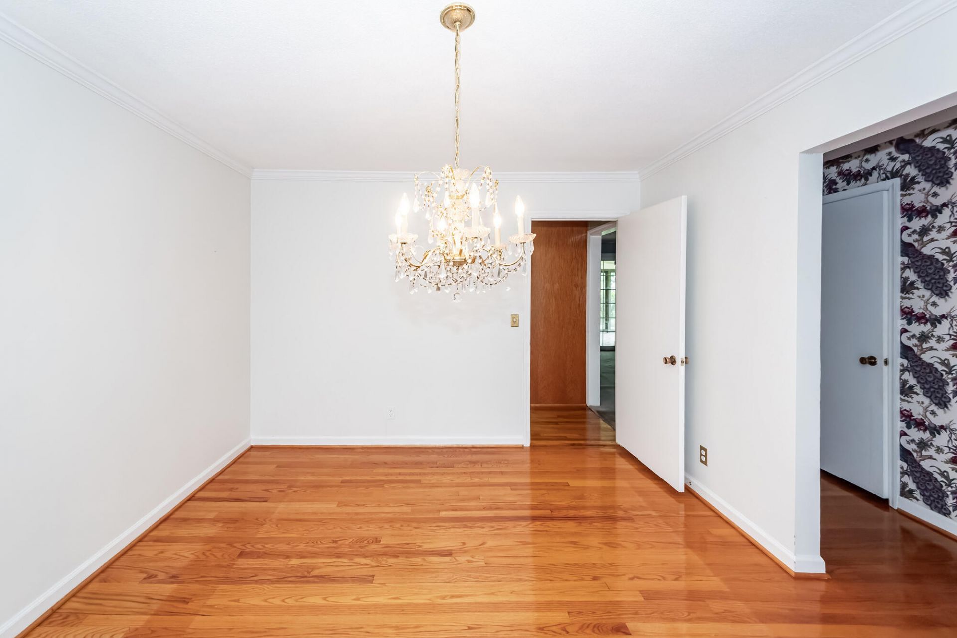 64 Shrewsbury Road Photo 6