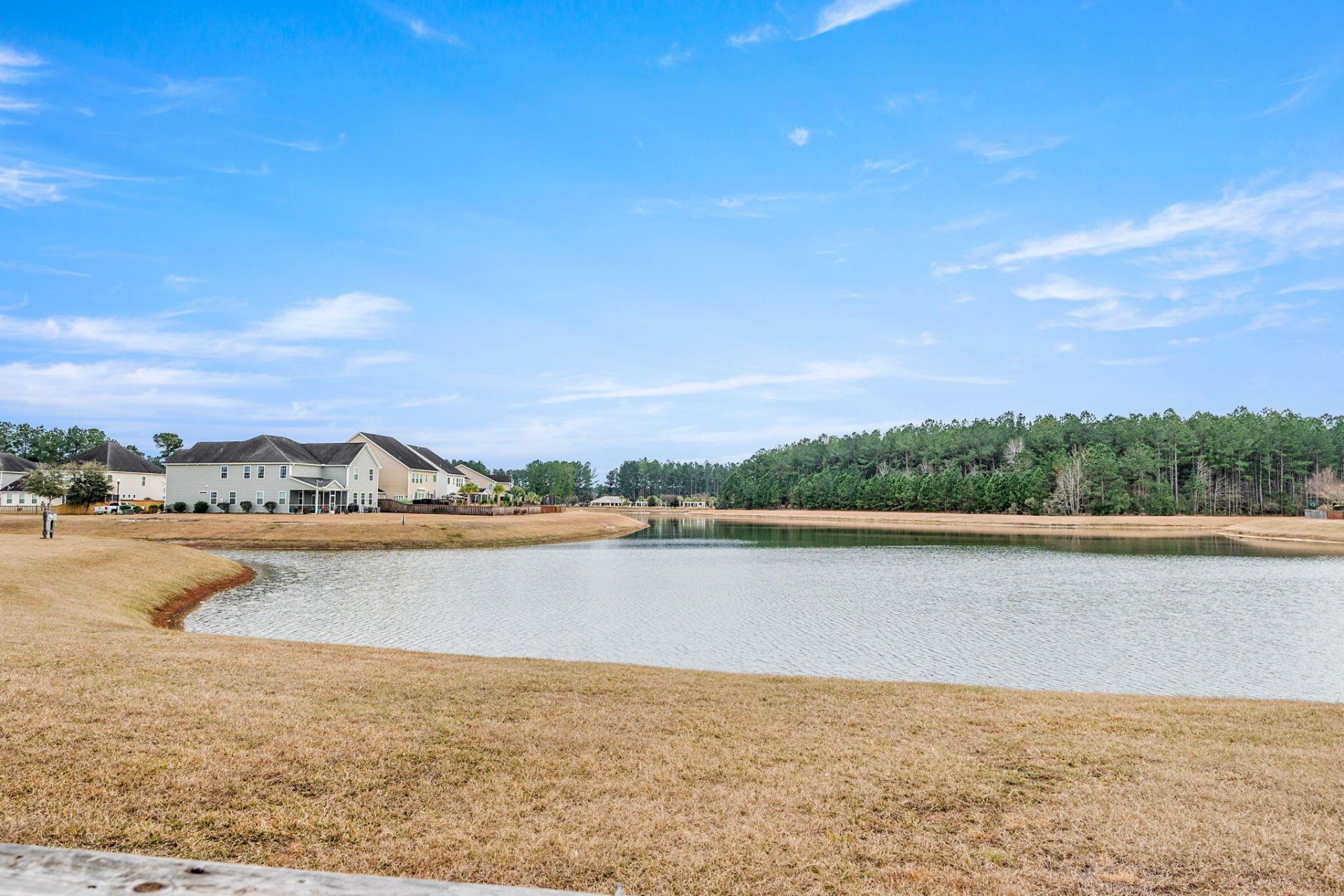 165 Lindera Preserve Boulevard Photo 49