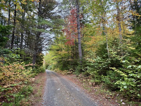 5 Greenleaf Road , Abbot, ME 04406