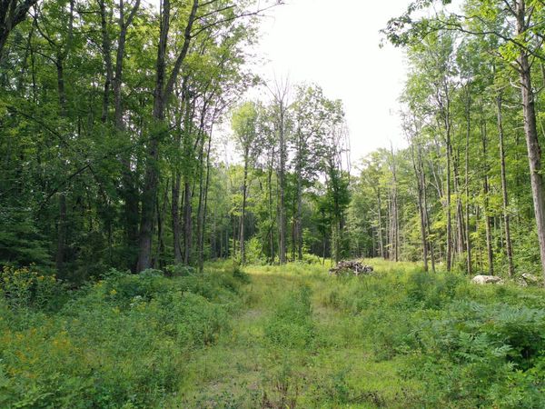 255 Ross Corner Road , Shapleigh, ME 04076