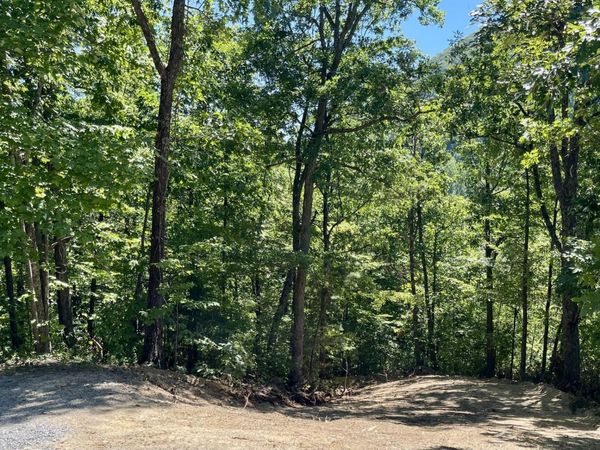 2324 Red Maple Lane , Unit 23&24, Sevierville, TN 37876