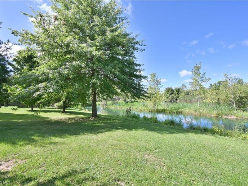 558 Mountain Lion Drive, Lagrange, OH 44050 Photo 35