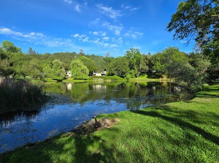1525 Cold Springs Rd #16, Placerville, CA 95667 Photo