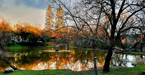 1525 Cold Springs Rd #16, Placerville, CA 95667 Photo