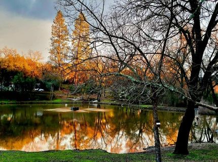 1525 Cold Springs Rd #16, Placerville, CA 95667 Photo