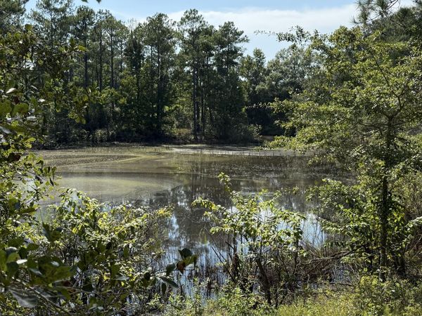 5110 Highway 273 , Campbellton, FL 32426