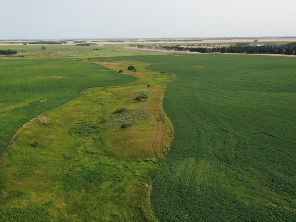 TBD 366th ave NW, Kenmare, ND 58746