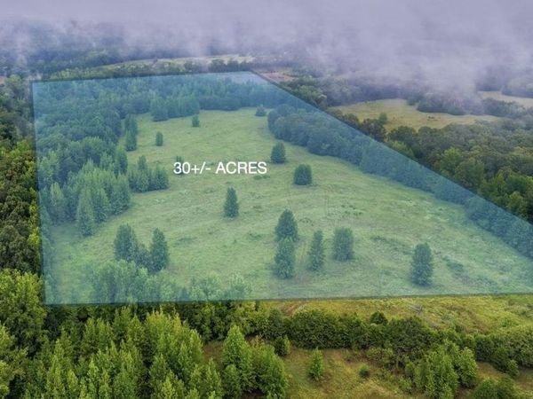 00 Wildcat Hollow, Greenbrier, AR 72058