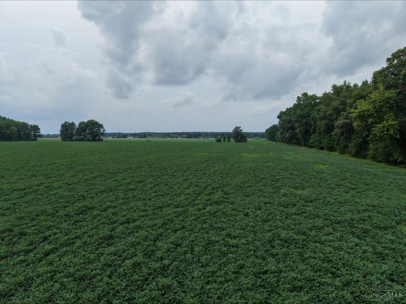 Lot 1 Tar Pike Road, Blanchester, OH 45107 Photo 5