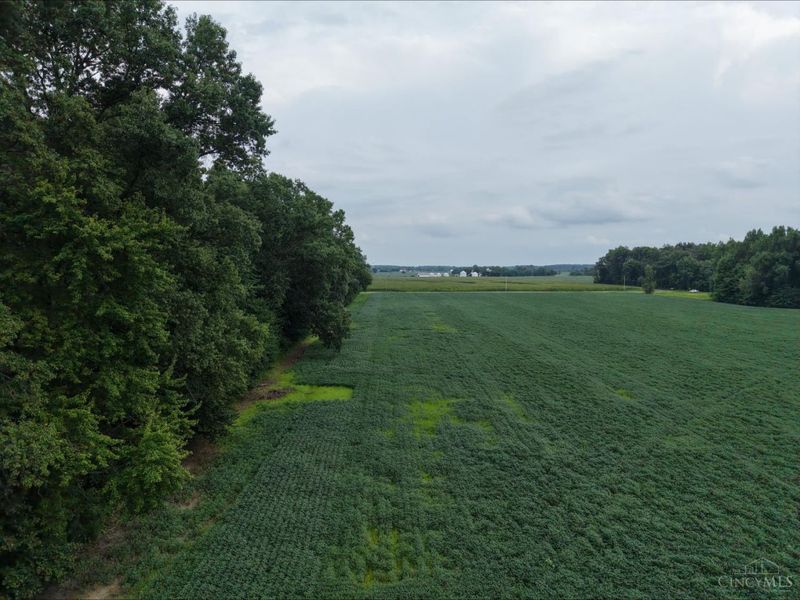 Lot 1 Tar Pike Road, Blanchester, OH 45107 Photo 7