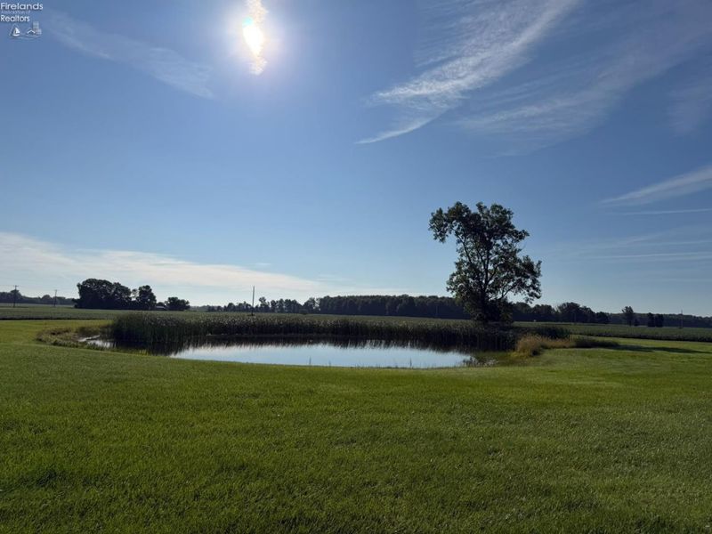11918 E County Road 12, Attica, OH 44807 Photo 4