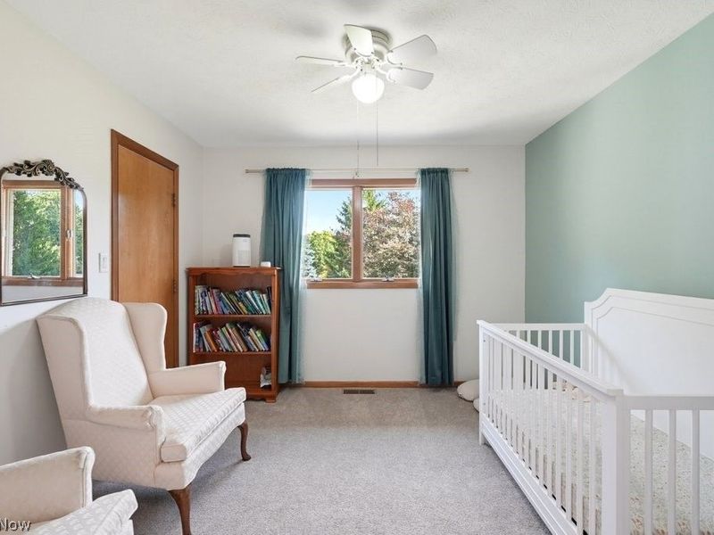 4405 Chestnut Road, Independence, OH 44131 Photo 26