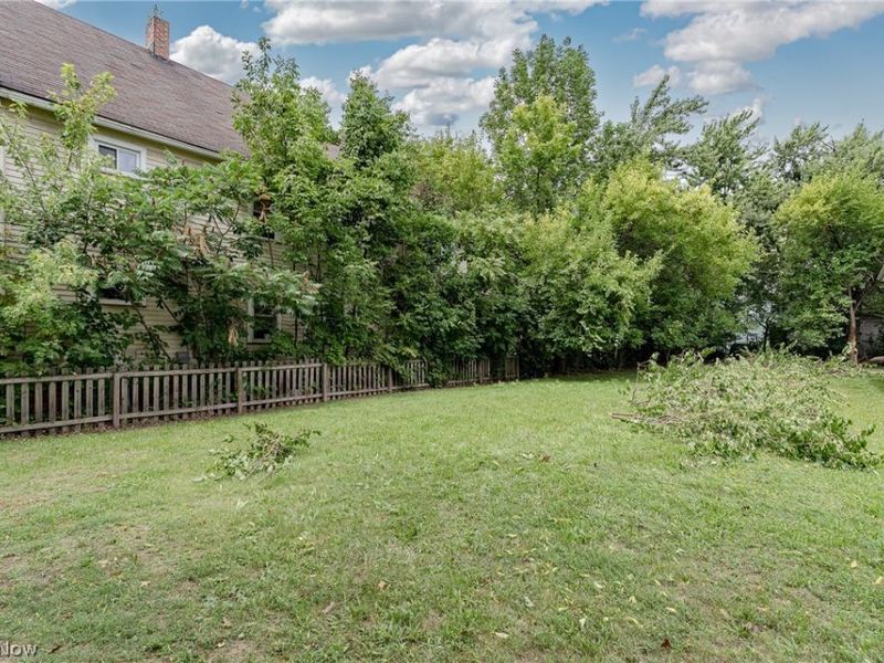16211 Arcade Avenue, Cleveland, OH 44110 Photo 2