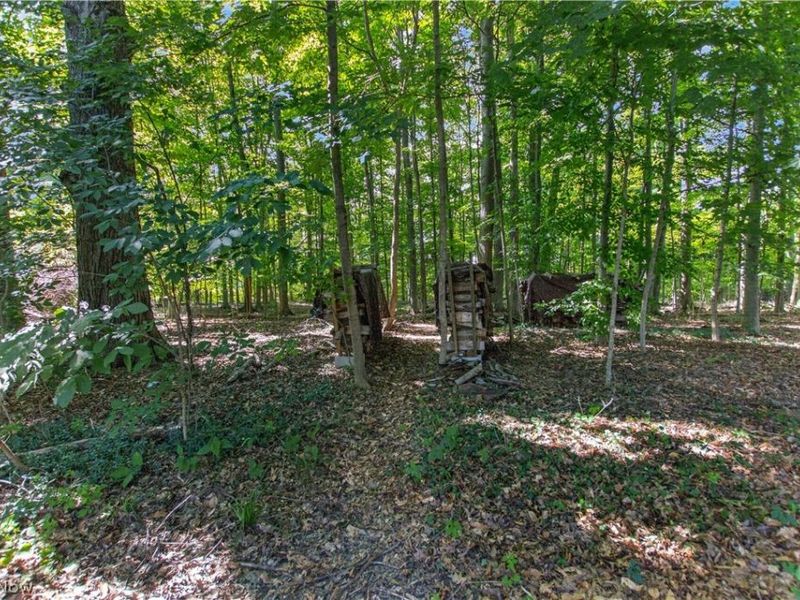 126 Westchester Drive, Amherst, OH 44001 Photo 47