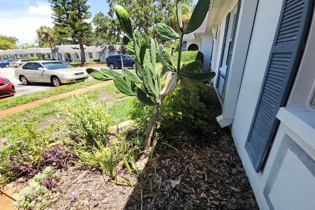 4240 Sheldon Place , Unit 4240, New Port Richey, FL 34652 Photo