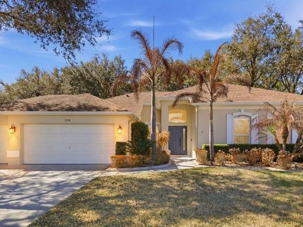 3209 PARTRIDGE POINT TRAIL , VALRICO, FL 33596