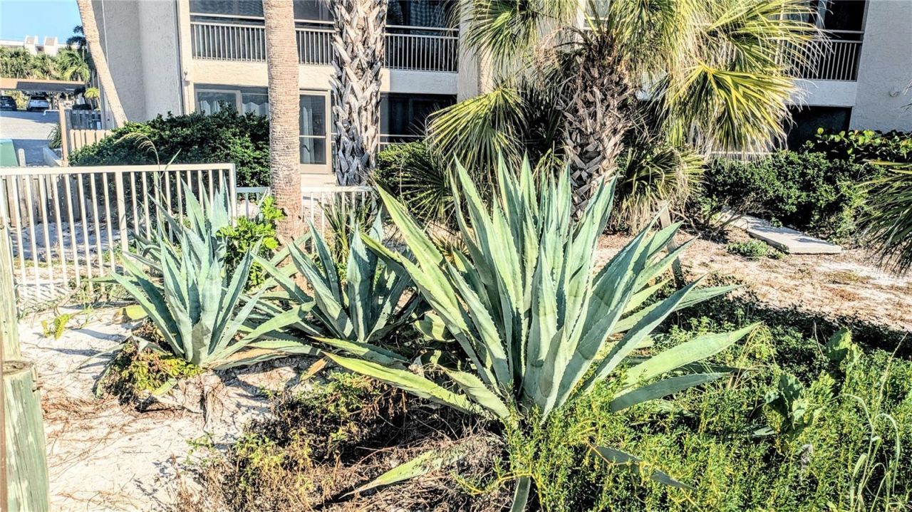 6327 Midnight Pass Rd Road, Unit 999, Sarasota, FL 34242 Photo