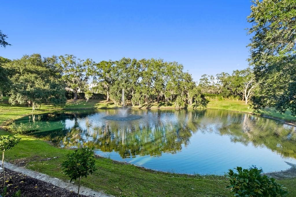 9725 Chestnut Ridge Drive , Windermere, FL 34786 Photo