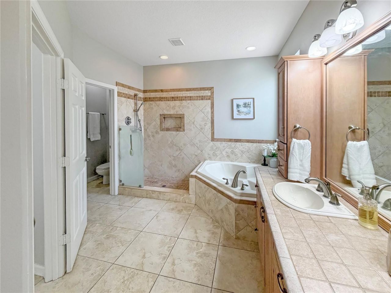 10172 Windermere Chase Boulevard , Gotha, FL 34734 Photo