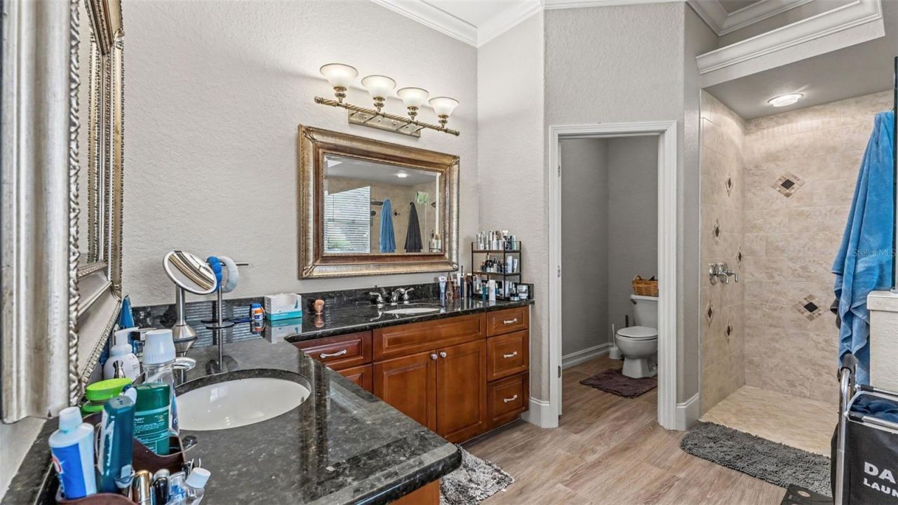 2743 Verandah Vue Way , Lakeland, FL 33812 Photo