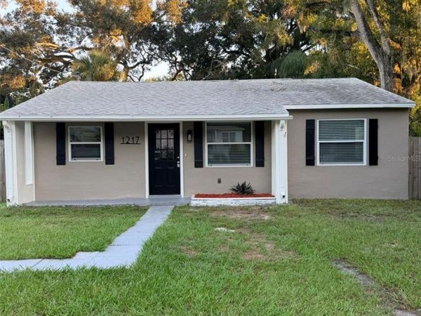1217 E NORFOLK STREET , TAMPA, FL 33604