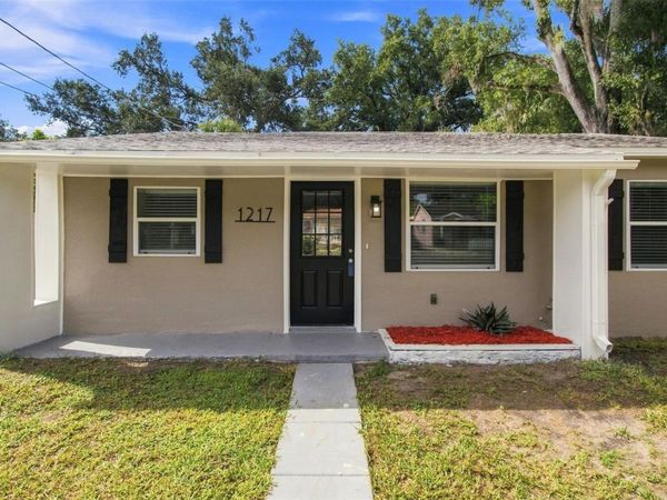 1217 E NORFOLK STREET , TAMPA, FL 33604