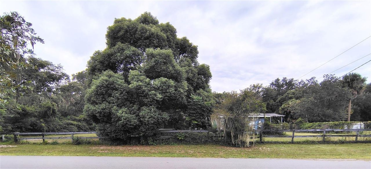 27401 Main Avenue, Okahumpka, FL 34762 Photo