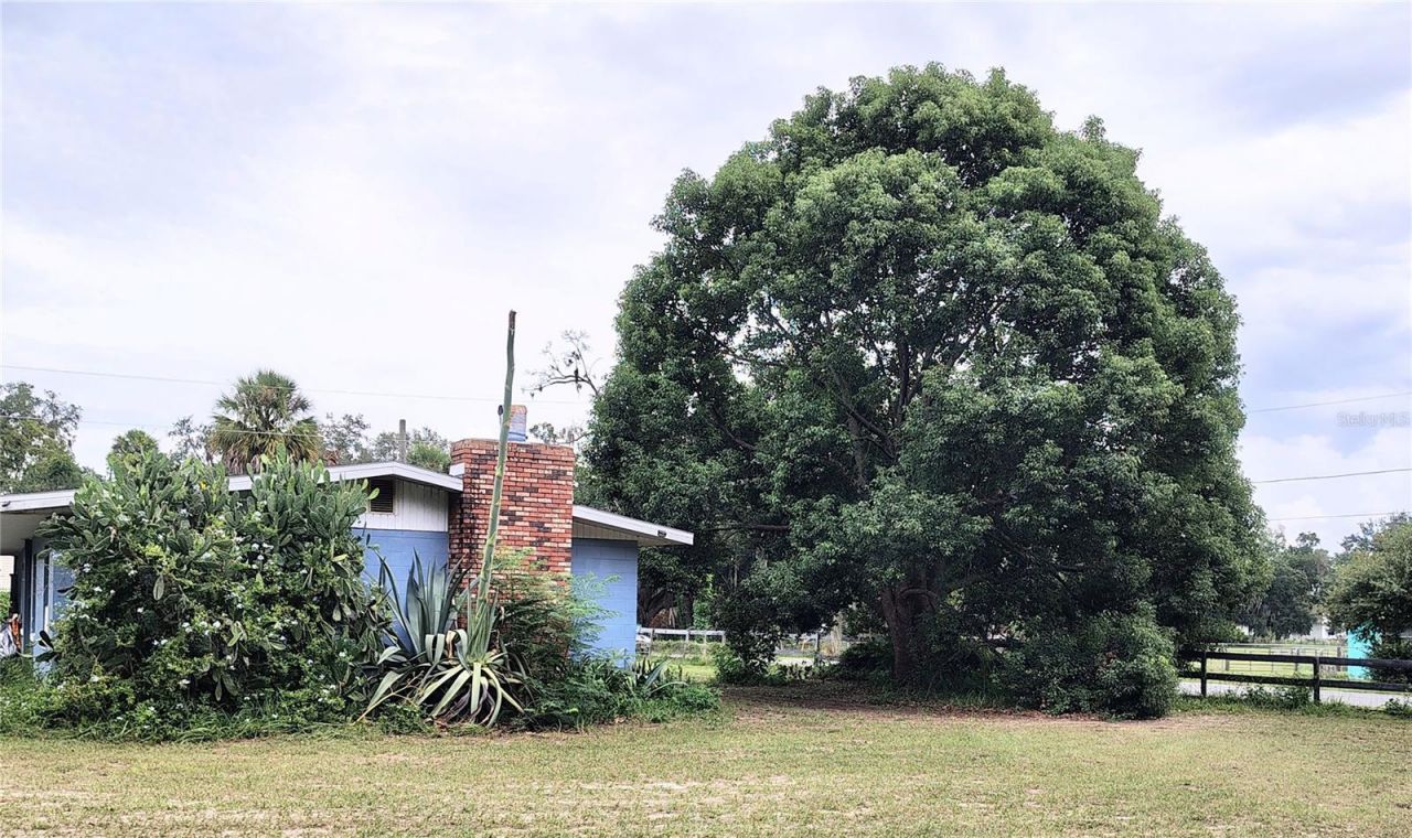 27401 Main Avenue, Okahumpka, FL 34762 Photo